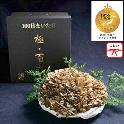 【のし付き】100日まいたけ 極百式　2kg以上の1株づくり【配送不可地域：離島・沖縄県】【1430228】