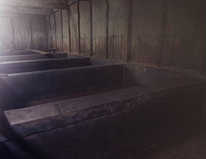 【ふるさと納税】甘楽町産 菜種油としょうゆのギフトセット｜自然農法 特別栽培 国産 菜の花油 菜たね油 サラダ油 醤油 植物油 [0075] サムネイル3