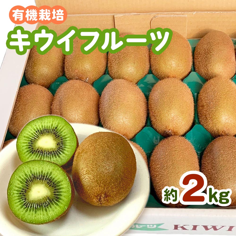 有機栽培キウイフルーツ (約2kg)[黒澤農園] 12月中旬より順次発送｜数量限定 期間限定 キウイ ヘイワード 果物 果実 フルーツ 農家直送 産地直送 有機栽培 国産 甘楽町産 群馬県産 [0303]