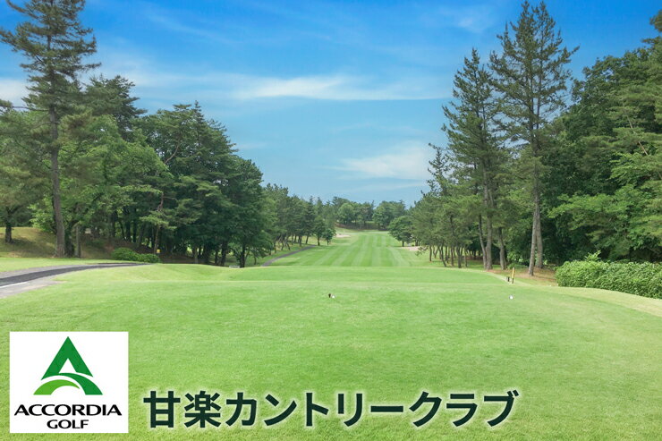 【ふるさと納税】群馬県甘楽町の対象ゴルフ場で使える楽天GORAクーポン 寄付額10,000円｜楽天限定 ゴルフ チケット 小幡郷ゴルフ倶楽部 甘楽カントリークラブ [0272] サムネイル2