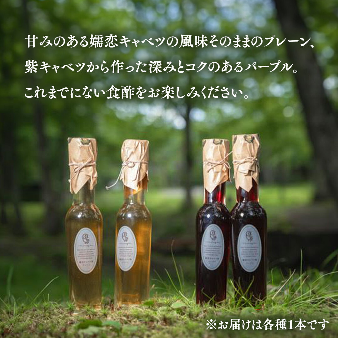 【ふるさと納税】 【 熨斗 対応品 】 キャベツ酢2本セット 熨斗 お歳暮 お中元 無地熨斗 酢 調味料 ダイエット 酢キャベツ おすすめ ギフト 贈答用 サムネイル3