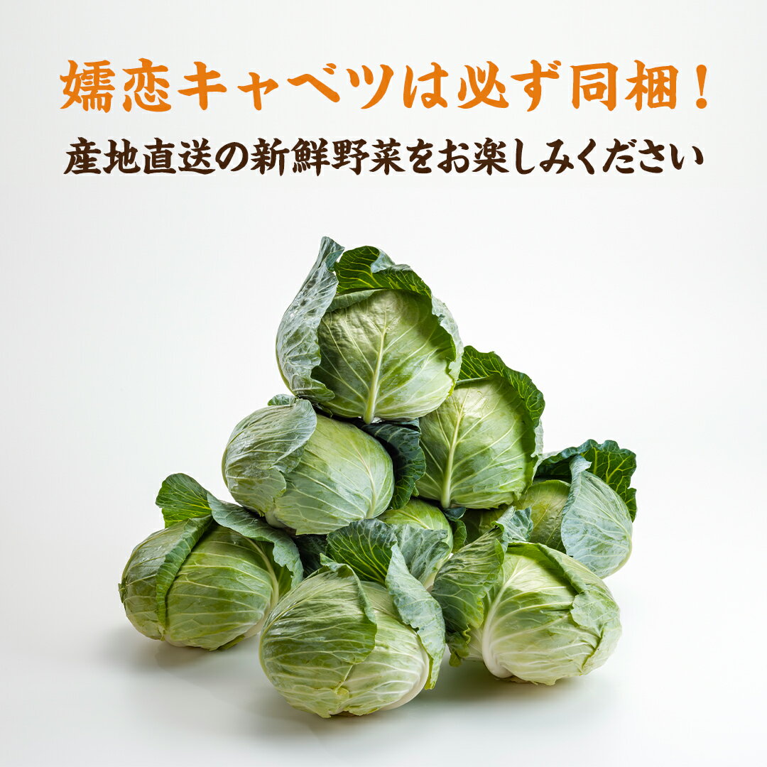 【ふるさと納税】 【 2026年 8月上旬 発送開始 】＜選べる内容量＞ 嬬恋キャベツ 入り！農家さんが選んだ 新鮮 高原 野菜 セット 先行予約 キャベツ 群馬 野菜 セット 産地直送 詰め合わせ アソート 期間限定 少量 野菜 新鮮 季節の野菜 旬の野菜 - 画像2