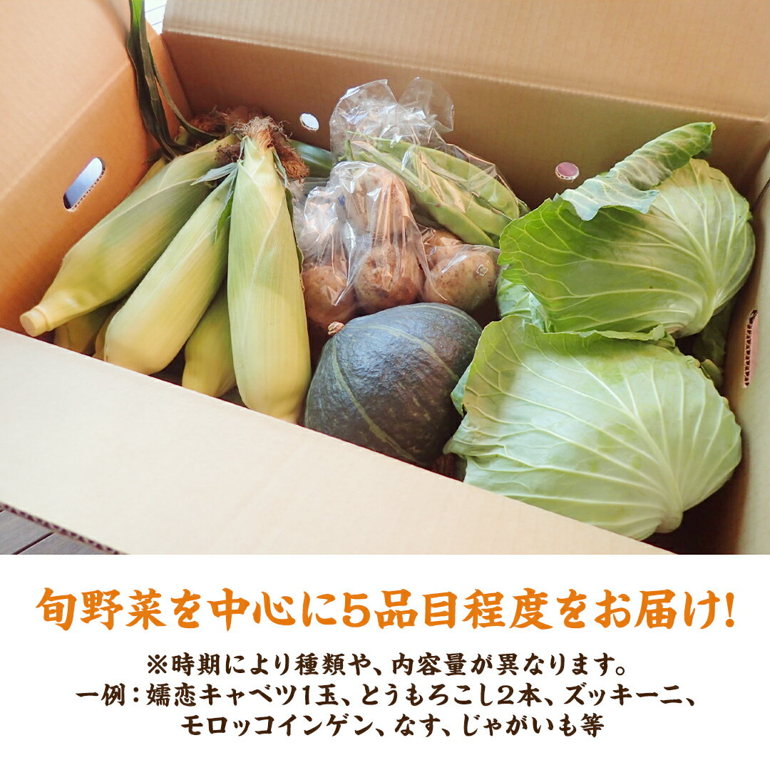 【ふるさと納税】 【 2026年 8月上旬 発送開始 】＜選べる内容量＞ 嬬恋キャベツ 入り！農家さんが選んだ 新鮮 高原 野菜 セット 先行予約 キャベツ 群馬 野菜 セット 産地直送 詰め合わせ アソート 期間限定 少量 野菜 新鮮 季節の野菜 旬の野菜 - 画像3