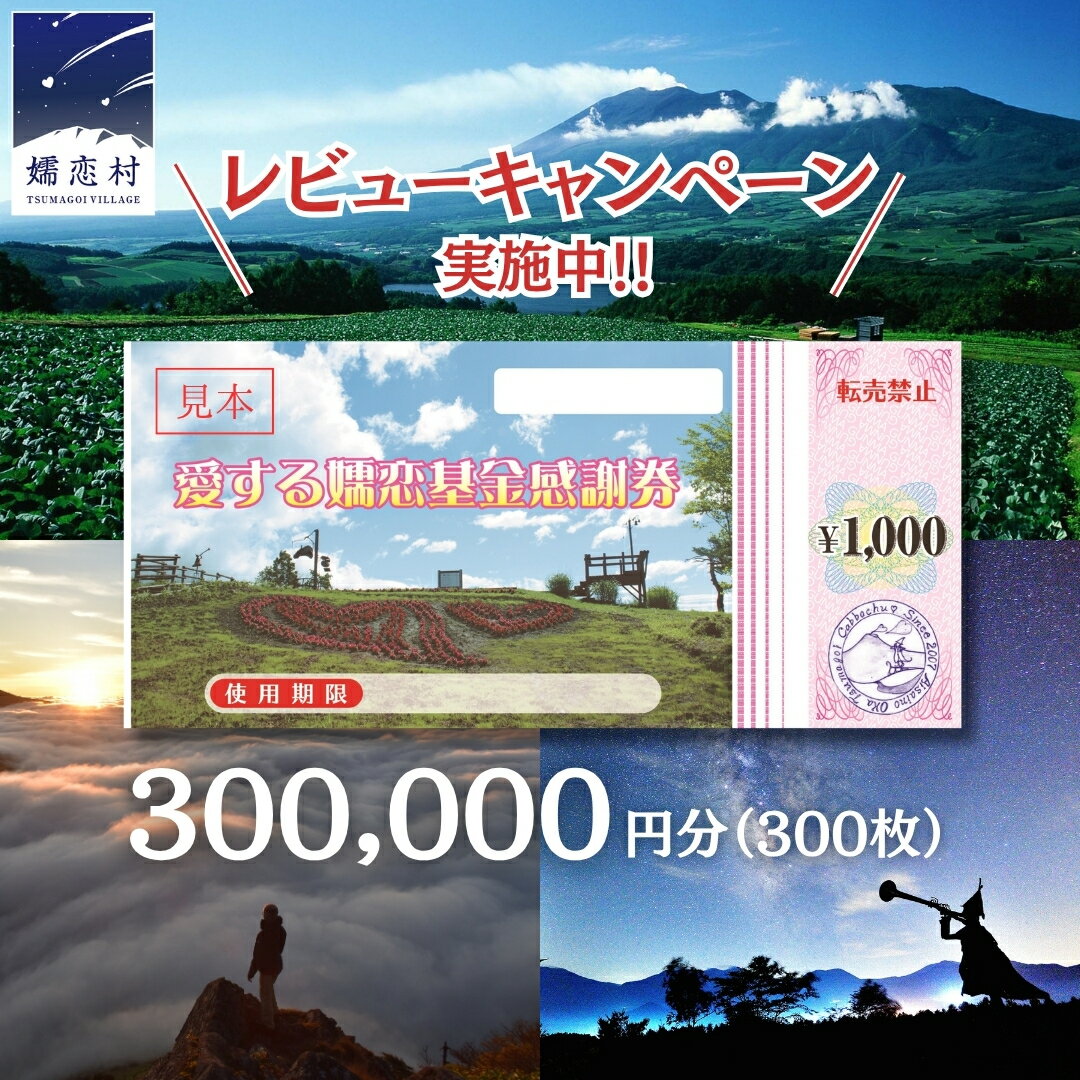 ≪ レビューキャンペーン ≫ 嬬恋村 で使える 感謝券 300000 分 観光 旅行券 宿泊券 旅行 温泉 スキー ホテル 旅館 クーポン チケット 宿泊補助券 トラベル 寄附額1000000円 関東 群馬 北軽井沢エリア 万座温泉 鹿沢温泉 浅間高原 バラギ 父の日 母の日