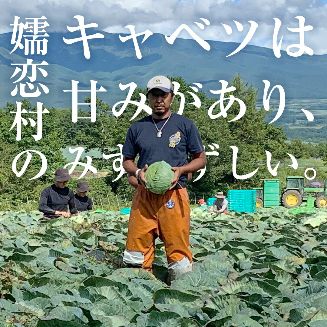 【ふるさと納税】 【7月中旬発送開始】 嬬恋キャベツ ＜選べる数量&お届け回数＞ 定期便 きゃべつ 嬬恋キャベツ 産地直送 群馬 お取り寄せ 野菜 セット Lサイズ ZIP! 新鮮 季節の野菜 旬の野菜 先行予約 2026年発送 - 画像2