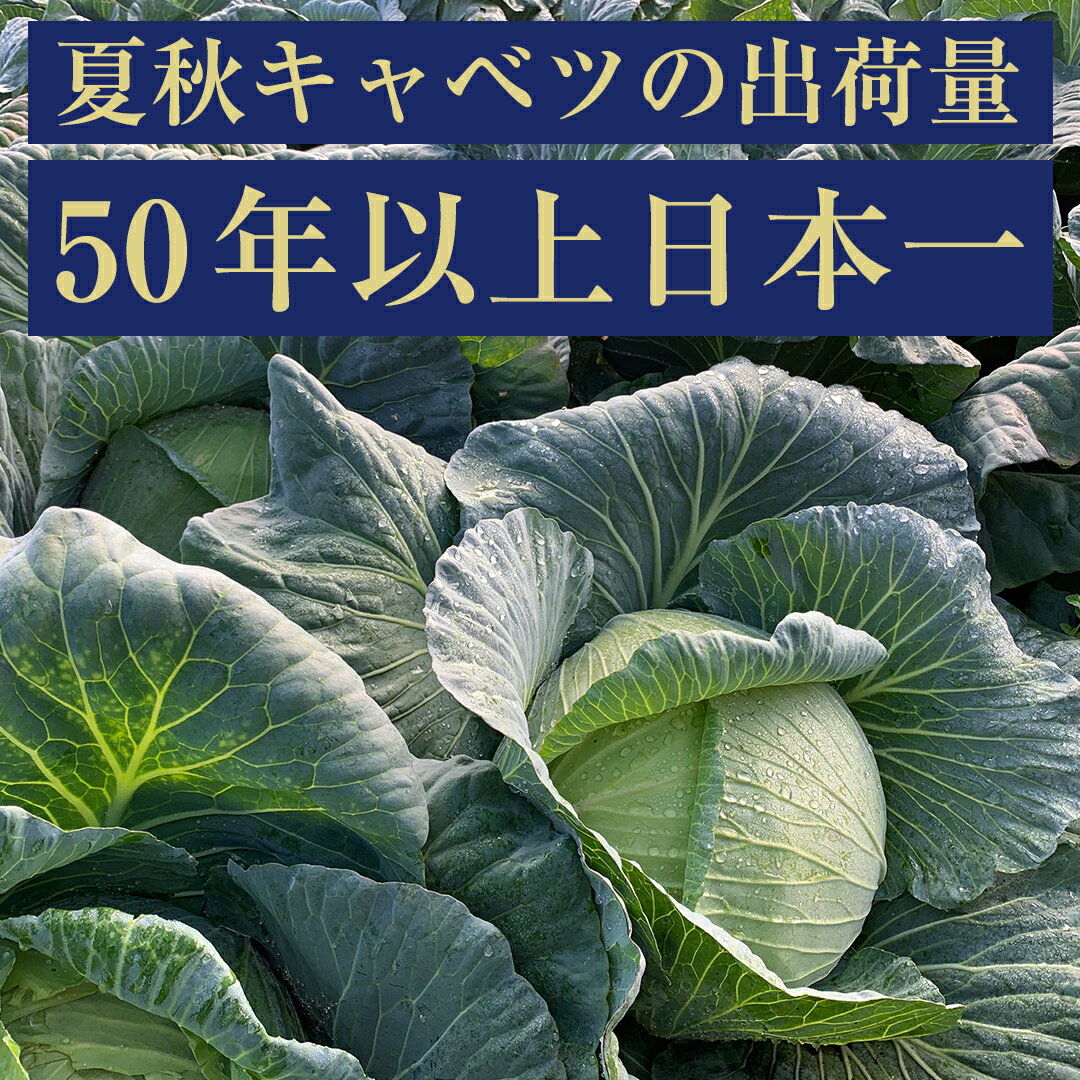 【ふるさと納税】 【7月中旬発送開始】 嬬恋キャベツ ＜選べる数量&お届け回数＞ 定期便 きゃべつ 嬬恋キャベツ 産地直送 群馬 お取り寄せ 野菜 セット Lサイズ ZIP! 新鮮 季節の野菜 旬の野菜 先行予約 2026年発送 - 画像3