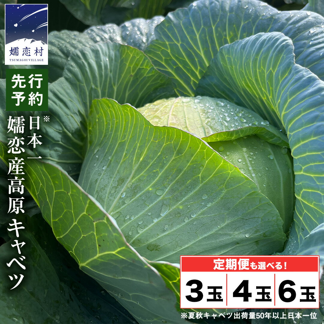 【7月中旬発送開始】 嬬恋キャベツ ＜選べる数量&お届け回数＞ 定期便 きゃべつ 嬬恋キャベツ 産地直送 群馬 お取り寄せ 野菜 セット Lサイズ ZIP! 新鮮 季節の野菜 旬の野菜 先行予約 2026年発送