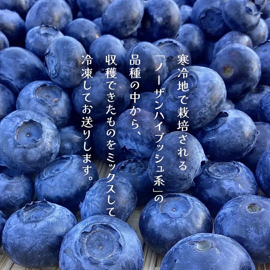 【ふるさと納税】 【 最短 7日以内 発送 】 冷凍 ブルーベリー 小玉 1kg or 500g 選べる内容量 【 栽培期間中 化学肥料 農薬 不使用 】 数量限定 中粒 国産 フルーツ スムージー 果物 くだもの 農家直送 スイーツ アイス ノーザンハイブッシュ系 ミックス サムネイル2