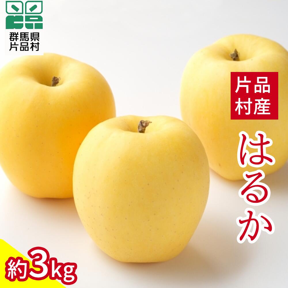 片品村 りんご はるか 約3kg リンゴ 林檎
