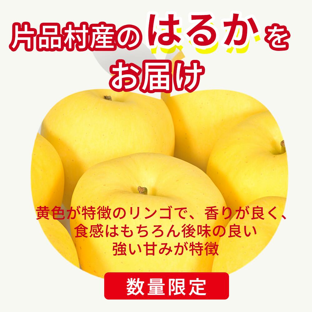 【ふるさと納税】片品村 りんご はるか 約3kg リンゴ 林檎 サムネイル2