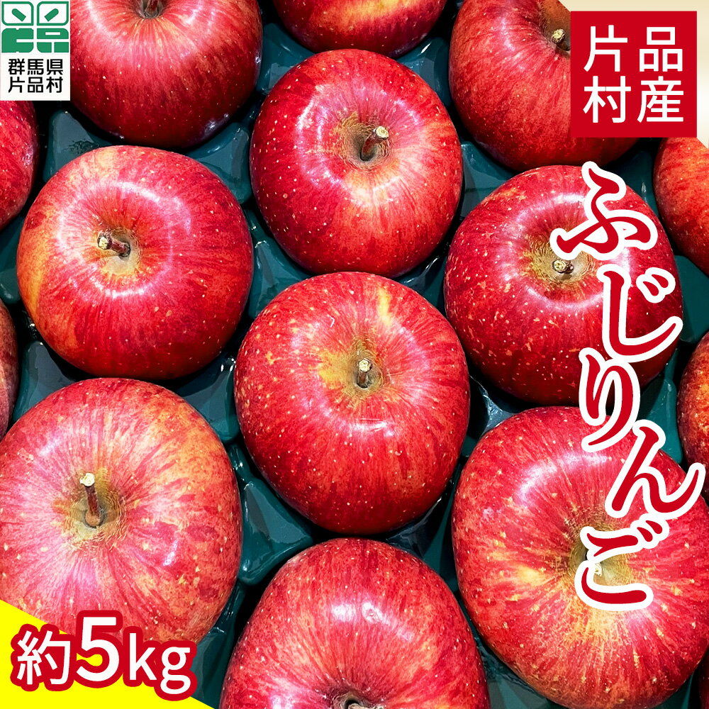 尾瀬の郷 片品村産 ふじりんご 約5kg リンゴ 林檎 ふじ
