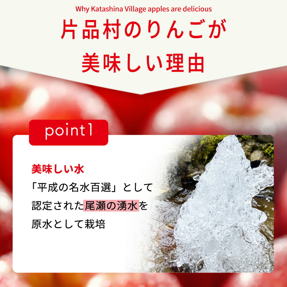 【ふるさと納税】片品村 りんご はるか 約3kg リンゴ 林檎 サムネイル3