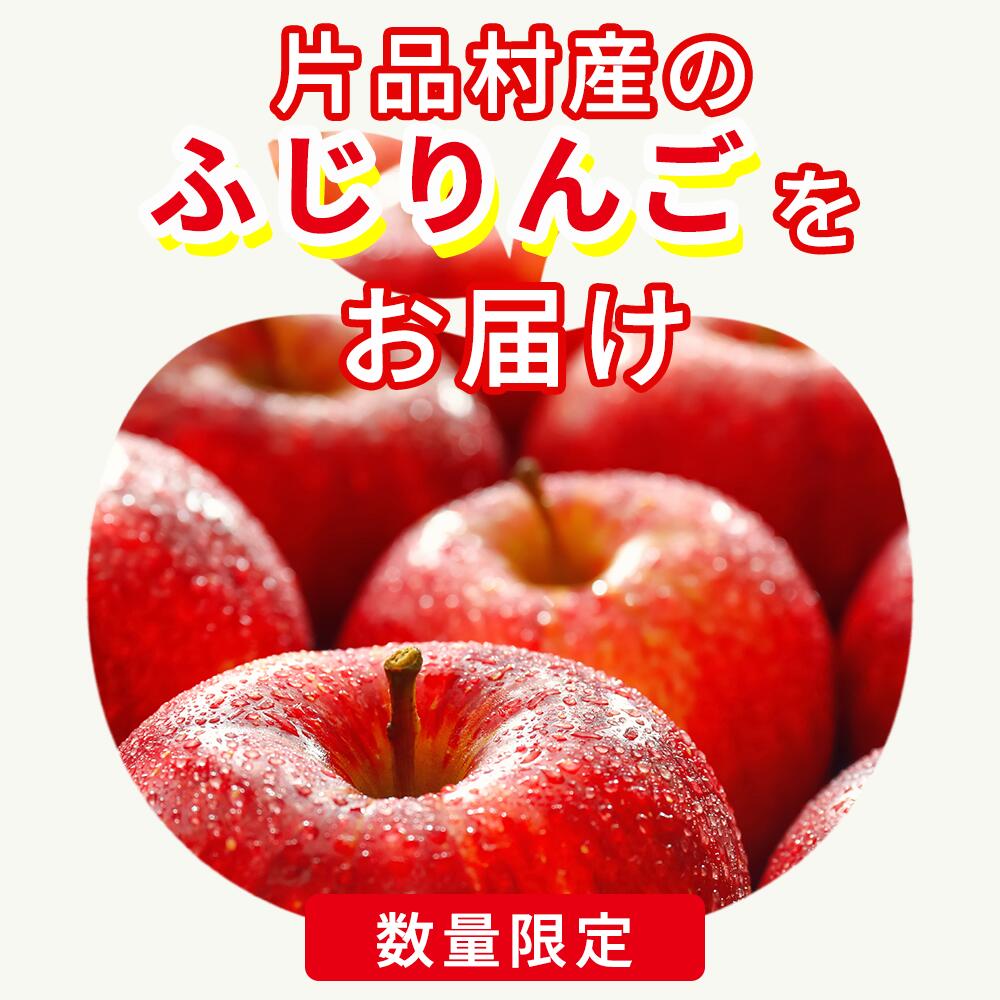 【ふるさと納税】尾瀬の郷 片品村産 ふじりんご 約5kg リンゴ 林檎 ふじ サムネイル2