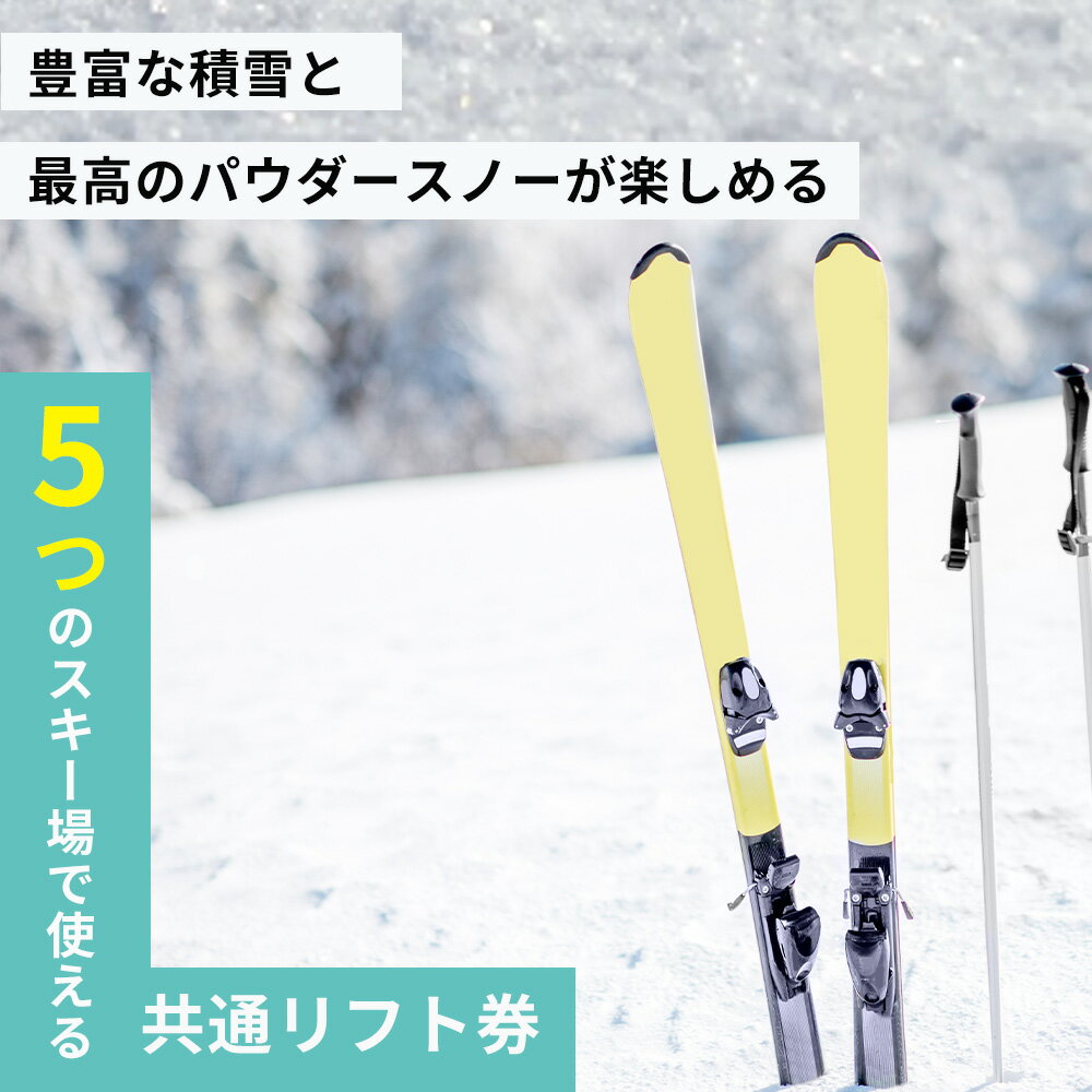 【ふるさと納税】2026シーズン有効 スキーリフト券（1日券引換券） リフト券 スキー スノーボード 群馬 片品村 サムネイル3