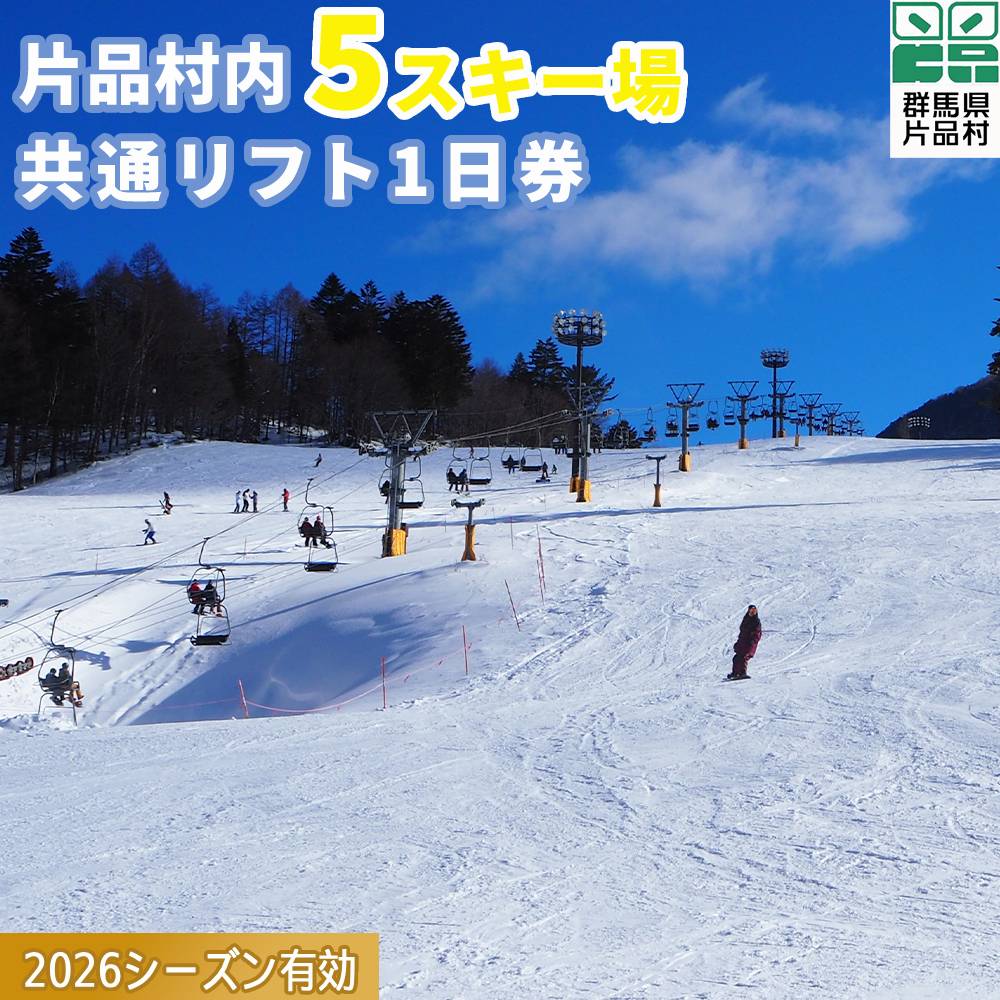 2026シーズン有効 スキーリフト券（1日券引換券） リフト券 スキー スノーボード 群馬 片品村