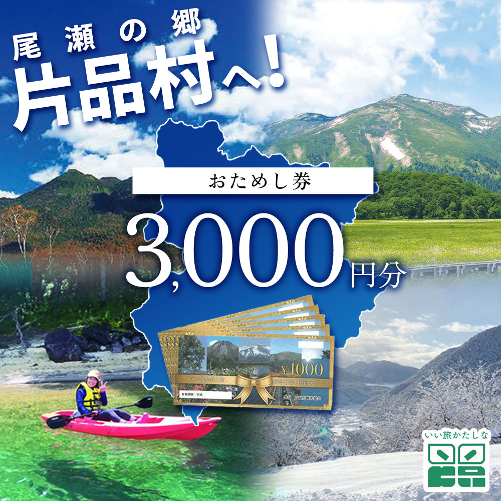 おためし券 (道の駅 尾瀬かたしな・花の駅 花咲の湯・寄居山温泉 ほっこりの湯) 3,000円分 尾瀬 旅行 旅行券 宿泊 宿泊券 トラベル トラベルクーポン 観光