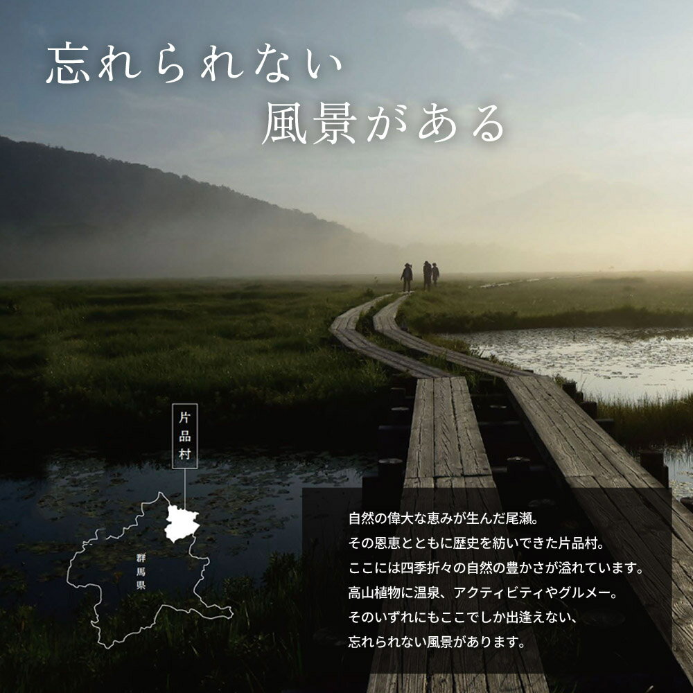 【ふるさと納税】 尾瀬の郷 片品村 いい旅かたしな おもてなし宿泊チケット 5冊 25,000円分 尾瀬 旅行 旅行券 宿泊 宿泊券 トラベル トラベルクーポン 観光 サムネイル2