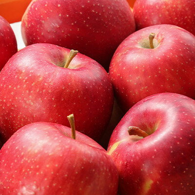 【ふるさと納税】川場村ふるさと納税感謝券(75枚)_ 感謝券 川場村 利用券 クーポン チケット 人気 【1398190】 - 画像2