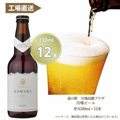 IPA　12本セット【1446343】