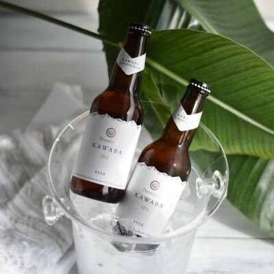 【ふるさと納税】IPA　12本セット【1446343】 サムネイル2