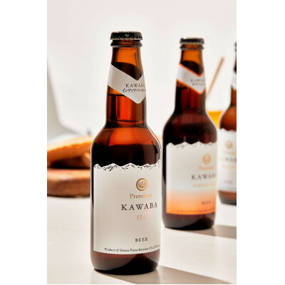 【ふるさと納税】IPA　12本セット【1446343】 サムネイル3