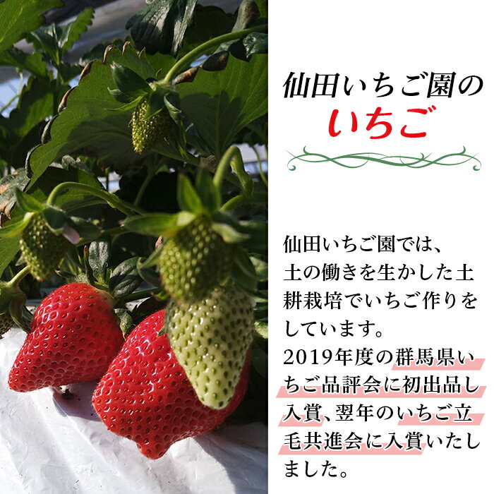 【ふるさと納税】ぐんまのやよいひめ（いちご贈答用）約800g サムネイル3