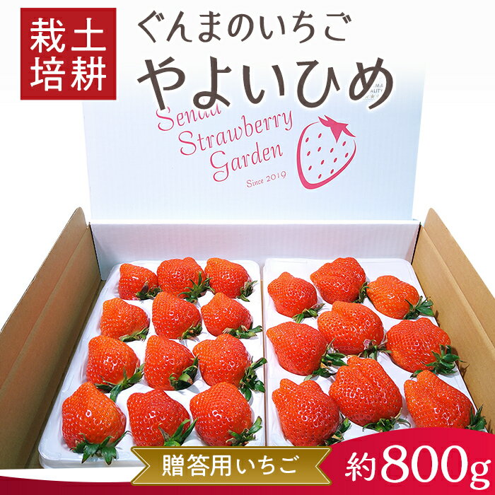 ぐんまのやよいひめ（いちご贈答用）約800g