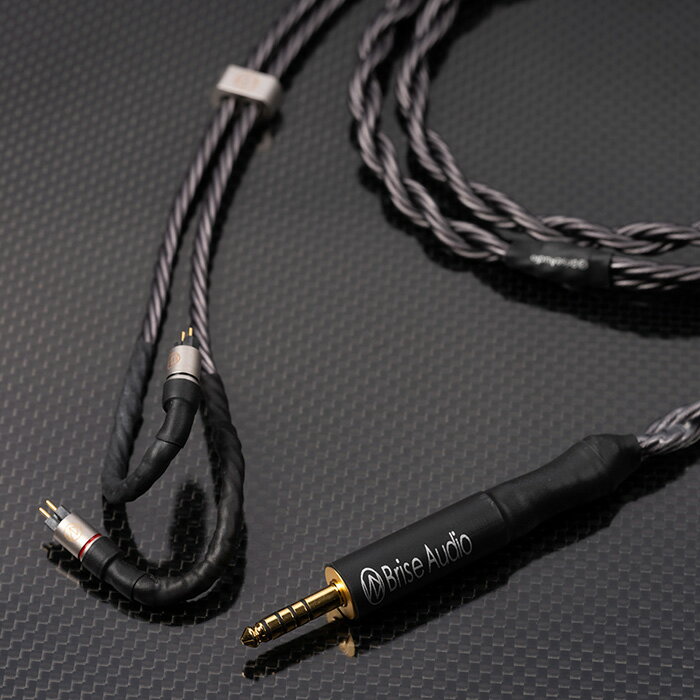 【ふるさと納税】Brise Audio ブリスオーディオ 高級 高額 音響 SHIROGANE 8-wire Ultimate サムネイル3