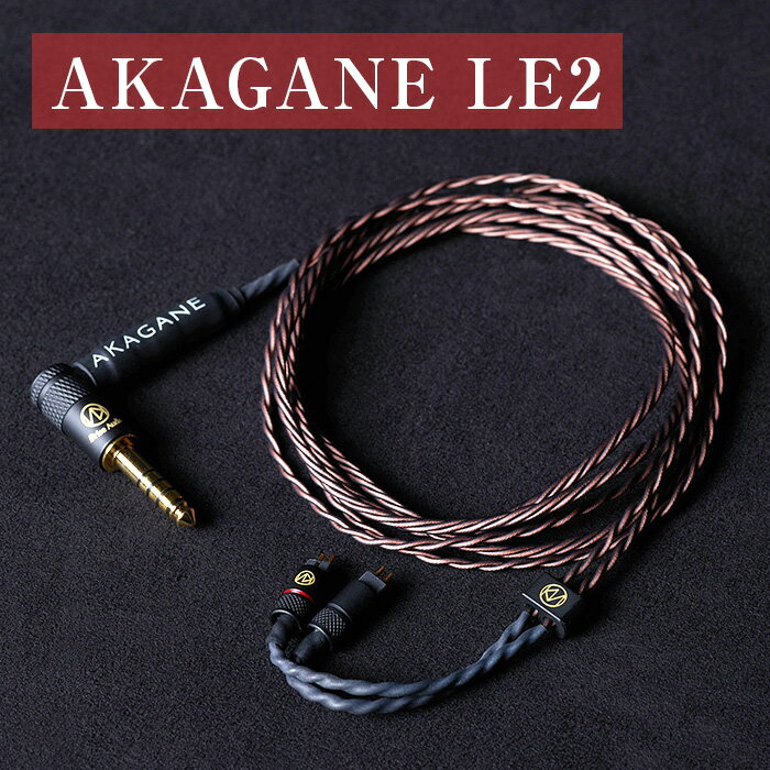 Brise Audio ブリスオーディオ 高級 高額 音響 AKAGANE LE2