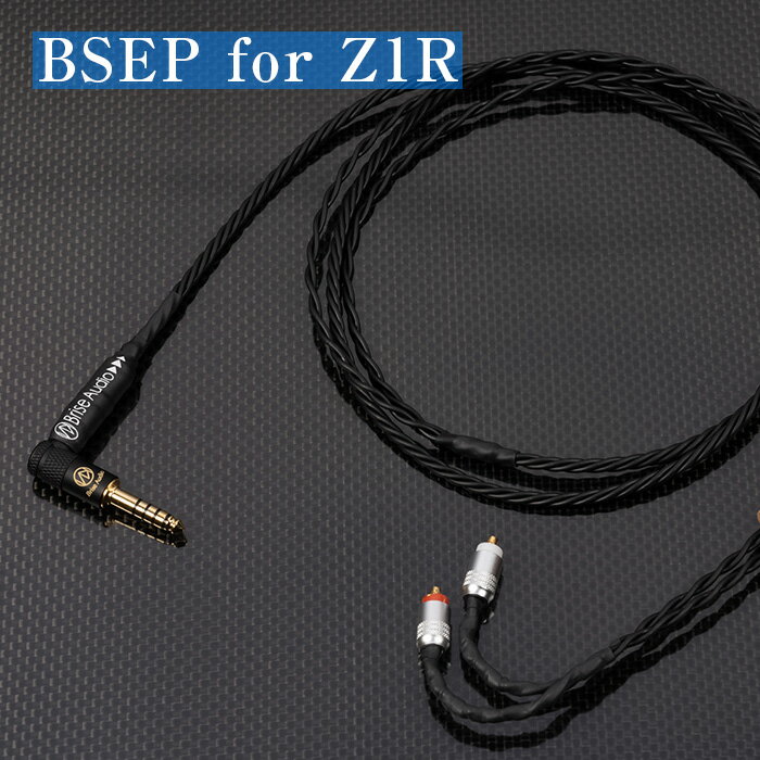 Brise Audio ブリスオーディオ 高級 高額 音響 BSEP for Z1R