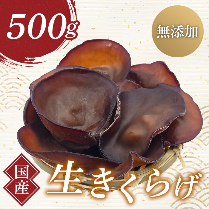 群馬県産 生きくらげ (こたちゃんきくらげ) 500g 無添加 無農薬 国産