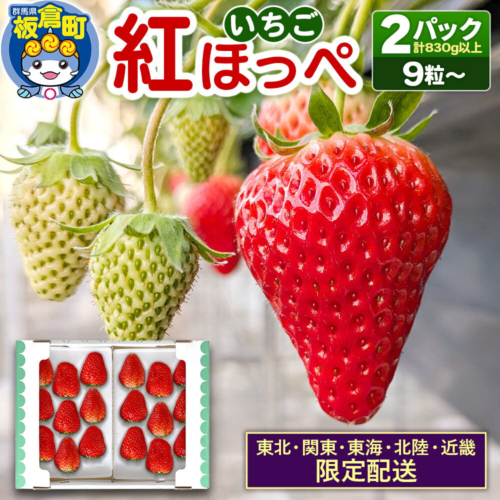 【東北・関東・東海・北陸・近畿 限定配送】いちご「紅ほっぺ」9粒〜 (2パック計830g以上)【12月中旬から順次発送】イチゴ 苺 あまい 1粒35g以上の特大粒を厳選 産地直送ならではの大きさと赤さ 一般市場には流通しない厳選のいちご 数量限定