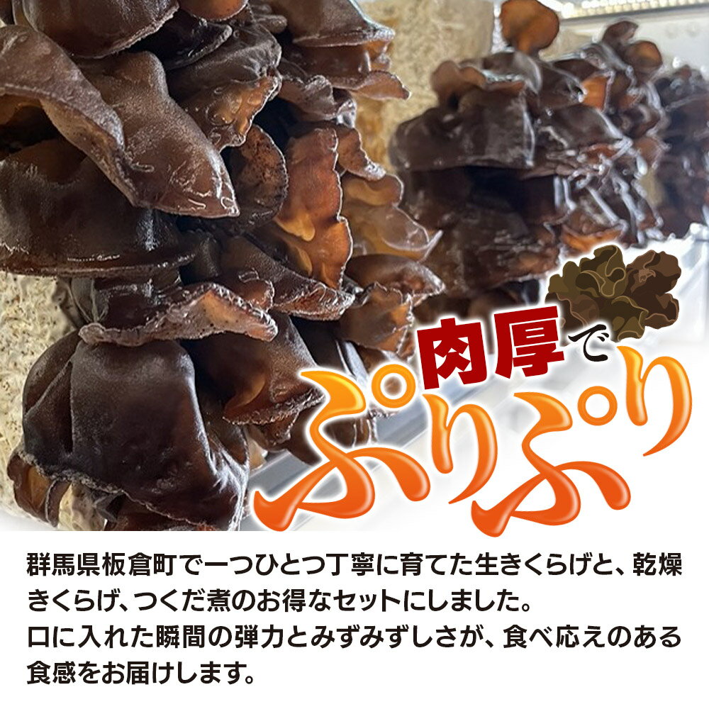 【ふるさと納税】きくらげ 詰め合わせセット 群馬県産【生きくらげ 乾燥きくらげ つくだ煮】3種 計5個 - 画像2