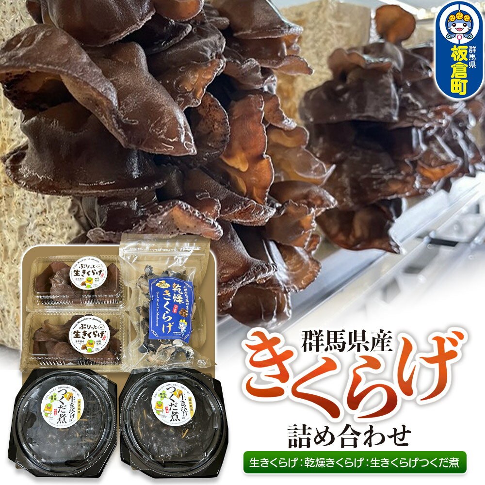 きくらげ 詰め合わせセット 群馬県産【生きくらげ 乾燥きくらげ つくだ煮】3種 計5個