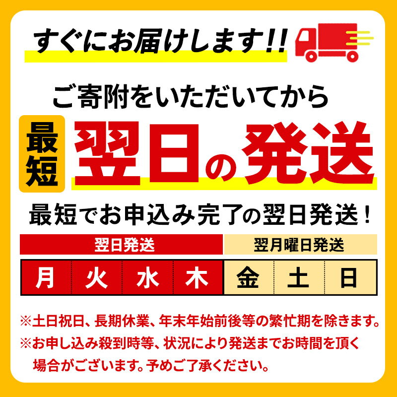 【ふるさと納税】《最短翌日発送》サントリー ザ・プレミアム・モルツ ザ・プレミアム・モルツ 香るエール＜500ml×24缶＞【選べる種類×回数】《1回のみ・定期便2〜12ヶ月》 サムネイル2