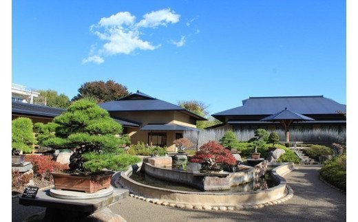 【ふるさと納税】鉄道博物館・大宮盆栽美術館・さいたま市岩槻人形博物館入館券各2枚【11100-0001】 サムネイル2