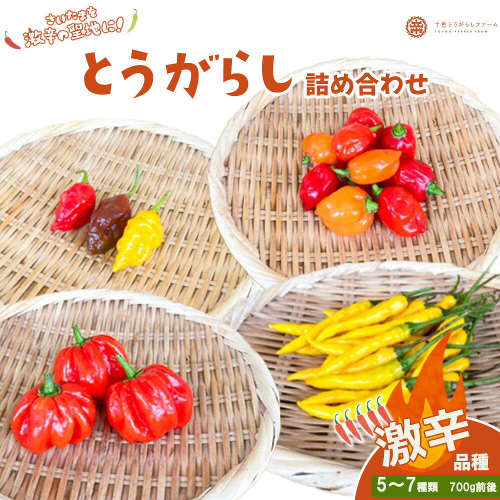 【十色とうがらしファーム】とうがらし　＜激辛＞品種詰合せ　【11100-0806】 唐辛子 トウガラシ セット スパイス 香辛料 さいたま市 埼玉県 送料無料 ギフト プレゼント