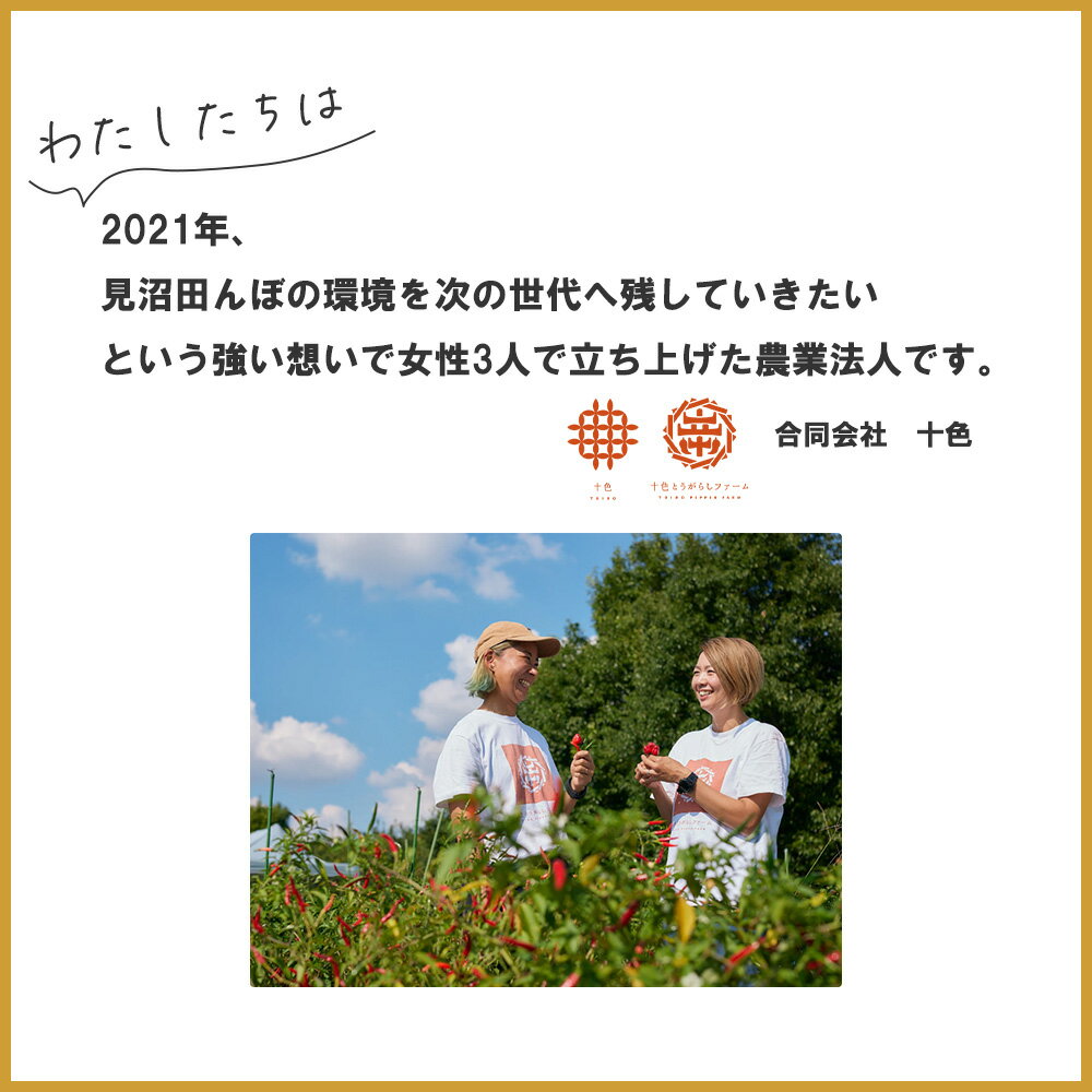 【ふるさと納税】【十色とうがらしファーム】とうがらし　＜激辛＞品種詰合せ　【11100-0806】 唐辛子 トウガラシ セット スパイス 香辛料 さいたま市 埼玉県 送料無料 ギフト プレゼント サムネイル3