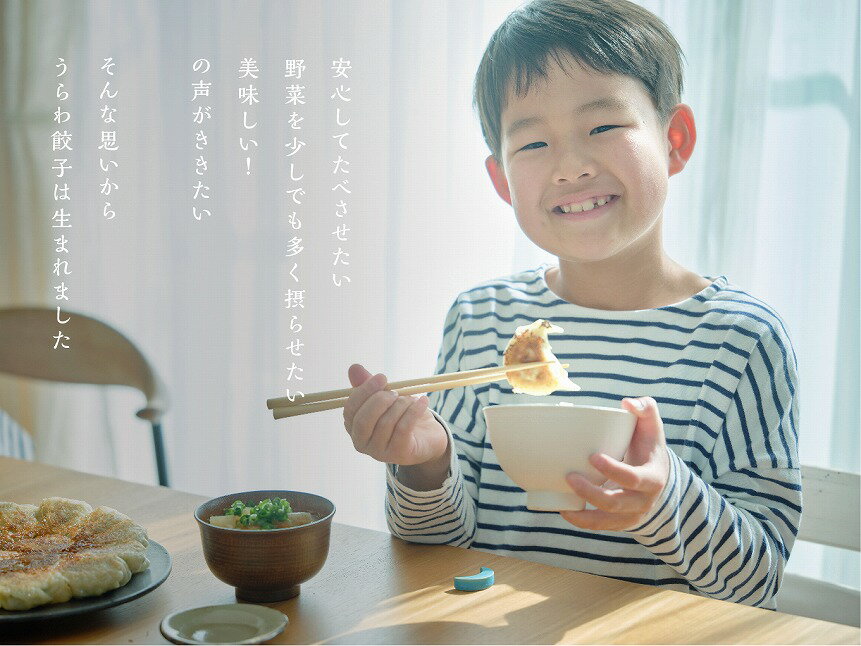 【ふるさと納税】うらわ餃子 生餃子 レギュラー しそ バジル&チーズ 旨辛 惣菜 レトルト ご飯 お弁当 冷凍 送料無料【11100-0724-733】 サムネイル3
