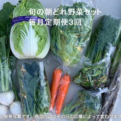 旬の朝どれ野菜セット×3回 ／ やさい 朝採れ 埼玉県