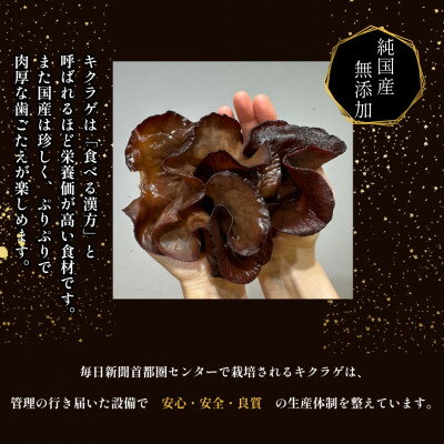 【ふるさと納税】彩のきくらげ　生きくらげ1000g　埼玉県産【配送不可地域：離島】【1692949】 - 画像2