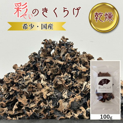 彩のきくらげ　乾燥きくらげ100g　埼玉県産【1692951】