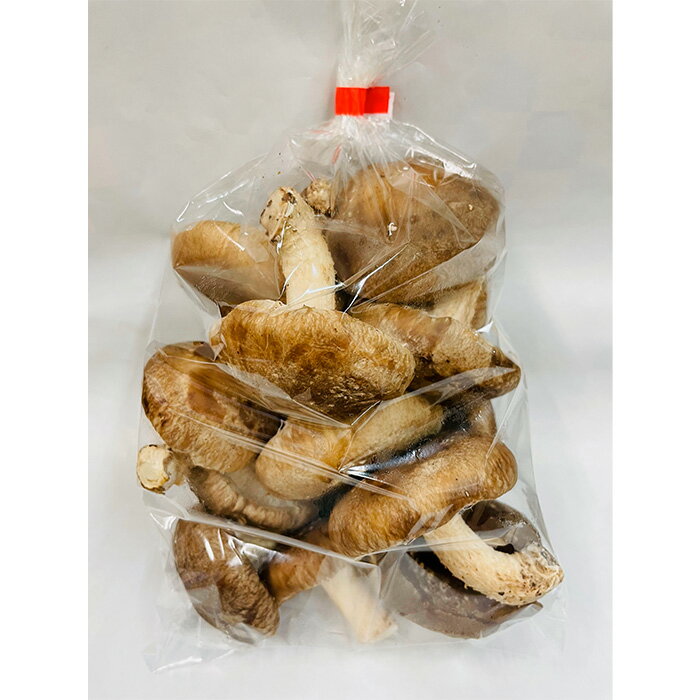 【ふるさと納税】訳ありでも美味しい！自然の恵み生椎茸1.44kg ／ しいたけ 野菜 煮物 鍋 栄養 送料無料 埼玉県 No.468 - 画像2