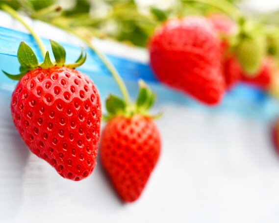 【ふるさと納税】 秩父のやよいひめ　4パック ／ やよいひめ 甘い ジューシー 食べ応え 新鮮 朝食 おやつ 4パック 果物 冷蔵 冷蔵便 農園直送 苺 イチゴ いちご 果物 フルーツ 送料無料 埼玉県 No.214 - 画像3