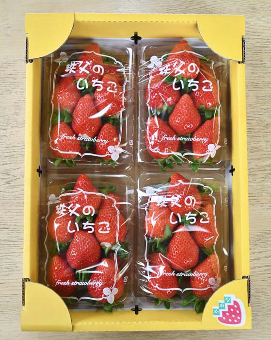 秩父のやよいひめ　4パック ／ やよいひめ 甘い ジューシー 食べ応え 新鮮 朝食 おやつ 4パック 果物 冷蔵 冷蔵便 農園直送 苺 イチゴ いちご 果物 フルーツ 送料無料 埼玉県 No.214