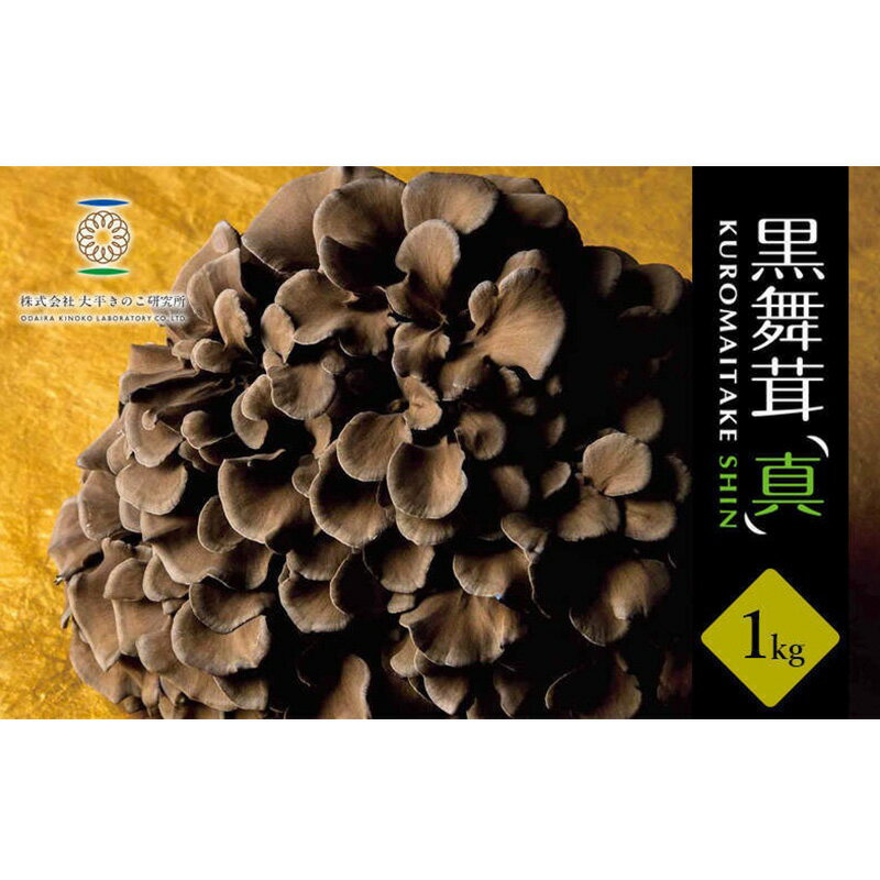 黒舞茸「真」 1kg[52210652] きのこ マイタケ 　お届け：発注後、1か月程度（生育状況により出荷日数が前後する可能性もありますので、あらかじめ御承知おきください。）