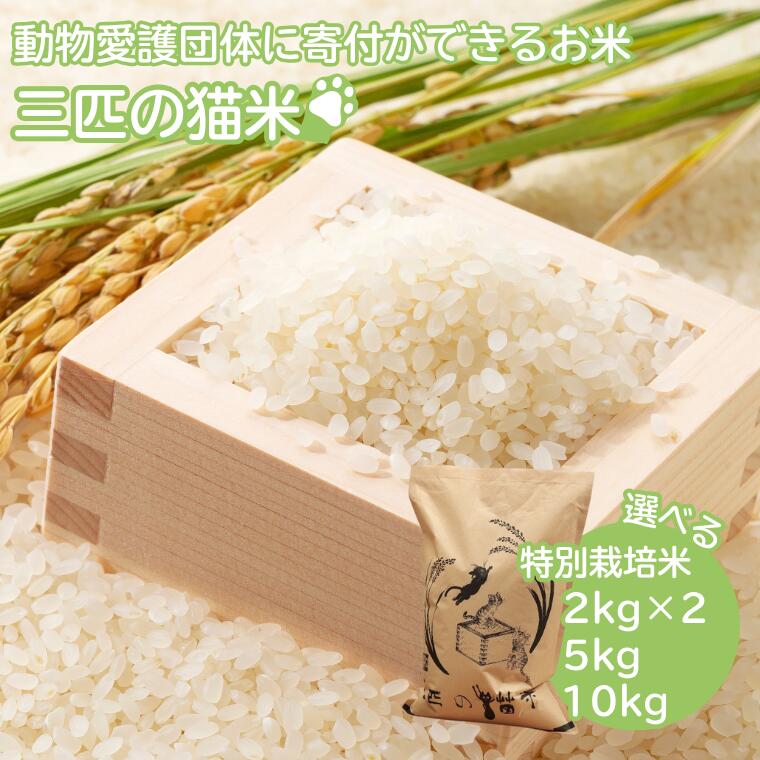 三匹の猫米/動物保護に携われる/特別栽培米 4kg～10kg≪選べる内容量！≫