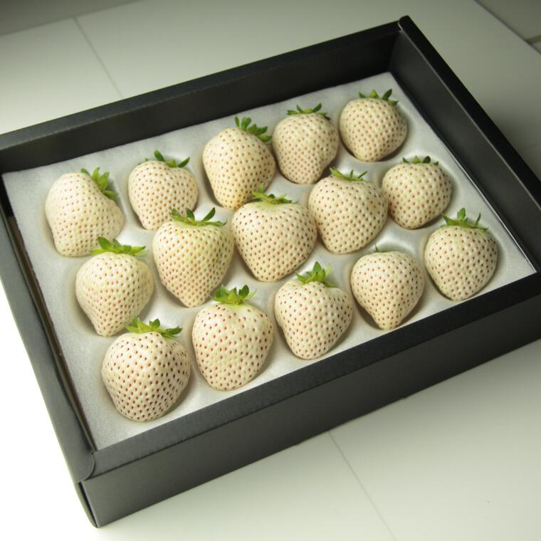 【ふるさと納税】【発送1月～】天使のいちご　350～400g　白いちご　【苺】 イチゴ おおきい スイーツ 果物 ふるさと納税 いちご うまい フルーツ 期間限定 人気いちご まるい 甘い いちご 旬 直送 おすすめいちご ストロベリー 苺ジャム いちご 好きのための いちご サムネイル2