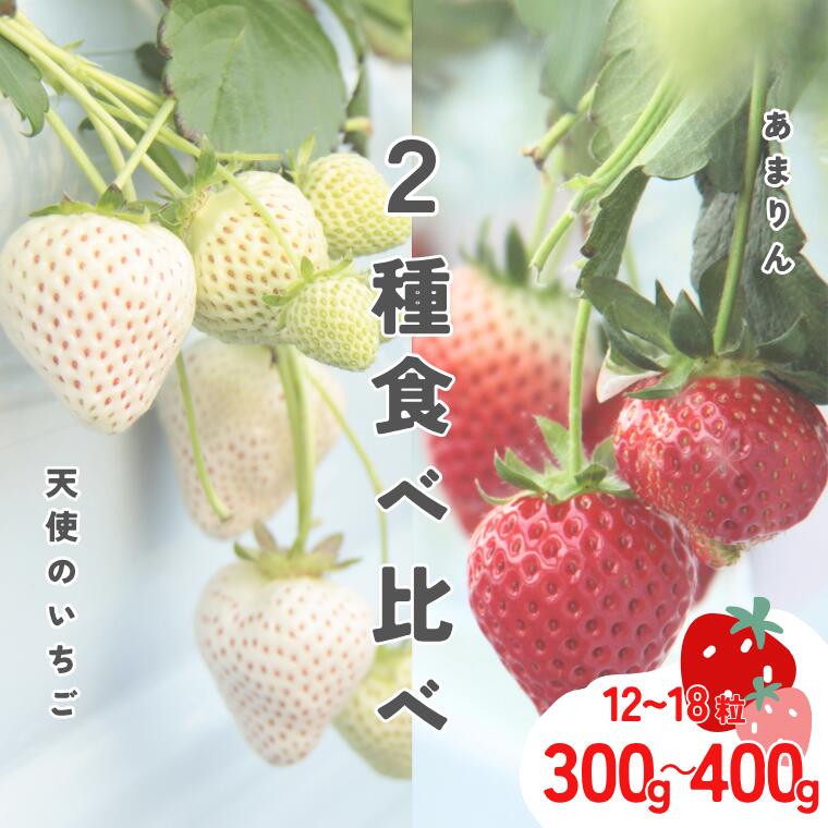 発送1月～【先行受付】紅白いちご　2種食べ比べ　「あまりん」＆「天使のいちご」【苺】 イチゴ おおきい スイーツ あかい 果物 ふるさと納税 いちご うまい フルーツ 期間限定 人気いちご まるい 甘い いちご 旬 直送 おすすめいちご ストロベリー 苺ジャム