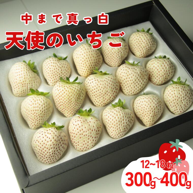 【発送1月～】天使のいちご　350～400g　白いちご　【苺】 イチゴ おおきい スイーツ 果物 ふるさと納税 いちご うまい フルーツ 期間限定 人気いちご まるい 甘い いちご 旬 直送 おすすめいちご ストロベリー 苺ジャム いちご 好きのための いちご
